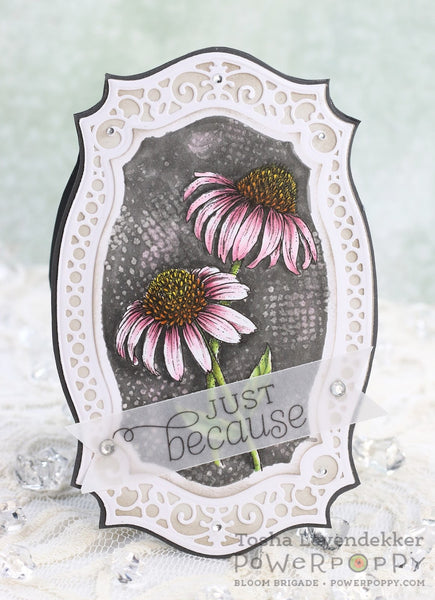 Easy Breezy Coneflowers Digital Stamp Set