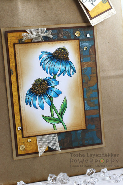 Easy Breezy Coneflowers Digital Stamp Set