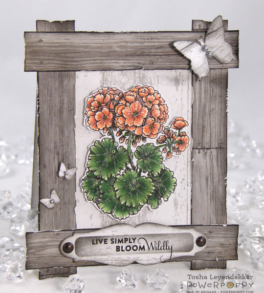 Geraniums Digital Stamp Set