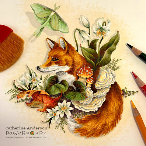 The Fox and the Moth Digital Stamp Set