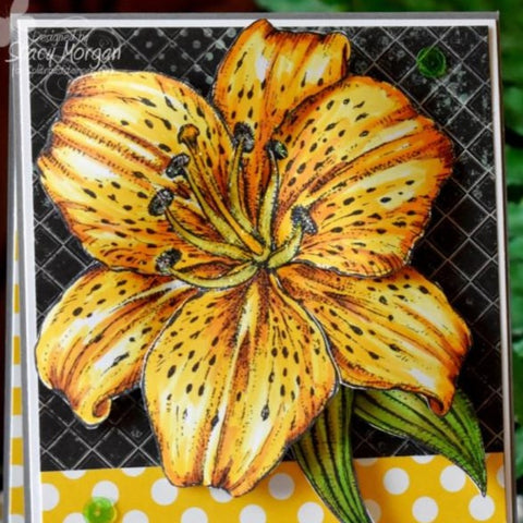 Alluring Lily Digital Stamp Set