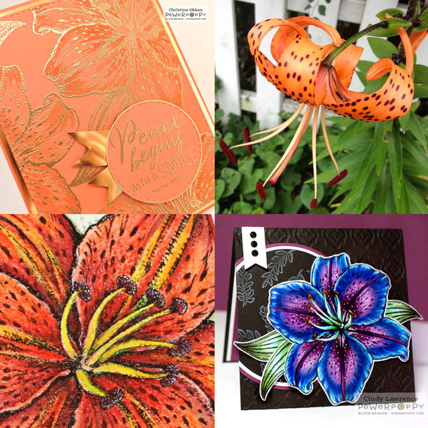 tiger lily stamp Alluring Lily Digital Stamp Set