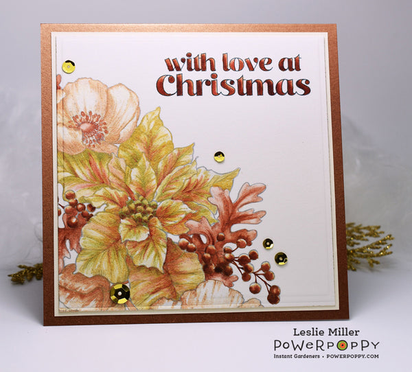 Ultimate Poinsettia Digital Stamp Set