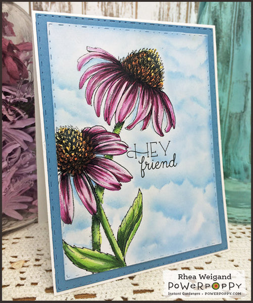 Easy Breezy Coneflowers Digital Stamp Set