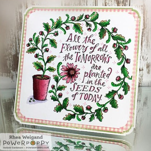 Seeds of Today Digital Stamp Set