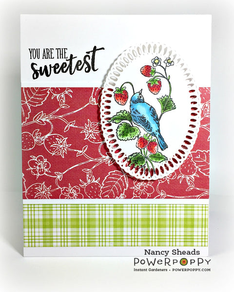 Summer Berries Stamp Set